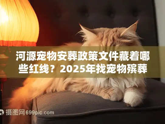 河源宠物安葬政策文件藏着哪些红线？2025年找宠物殡葬服务必看