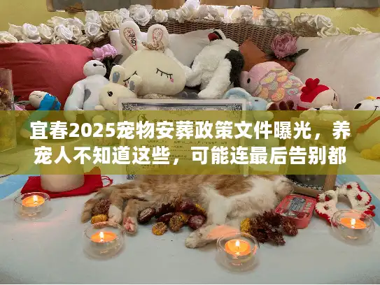宜春2025宠物安葬政策文件曝光，养宠人不知道这些，可能连最后告别都办不了？