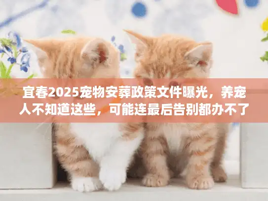 宜春2025宠物安葬政策文件曝光，养宠人不知道这些，可能连最后告别都办不了？