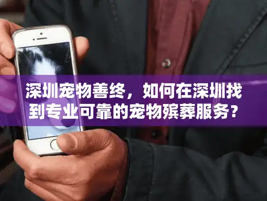 深圳宠物善终，如何在深圳找到专业可靠的宠物殡葬服务？
