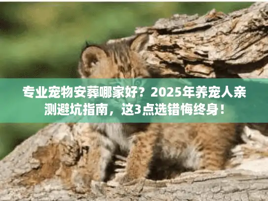 专业宠物安葬哪家好？2025年养宠人亲测避坑指南，这3点选错悔终身！