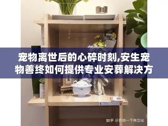 宠物离世后的心碎时刻,安生宠物善终如何提供专业安葬解决方案?