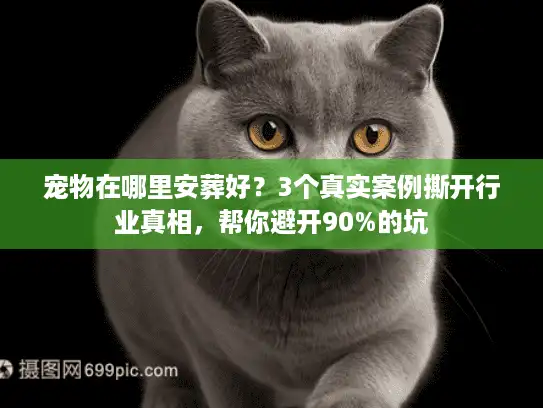 宠物在哪里安葬好？3个真实案例撕开行业真相，帮你避开90%的坑