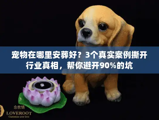 宠物在哪里安葬好？3个真实案例撕开行业真相，帮你避开90%的坑