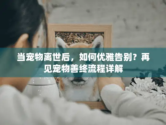 当宠物离世后，如何优雅告别？再见宠物善终流程详解