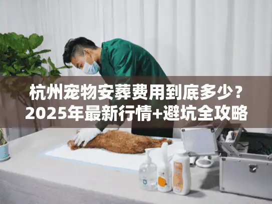 杭州宠物安葬费用到底多少？2025年最新行情+避坑全攻略