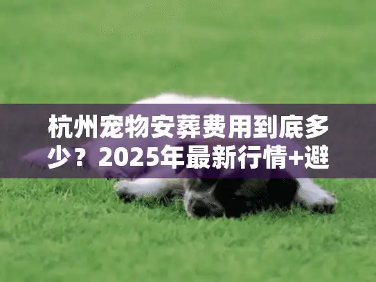 杭州宠物安葬费用到底多少？2025年最新行情+避坑全攻略