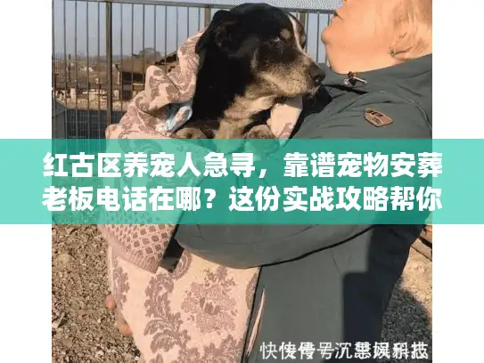 红古区养宠人急寻，靠谱宠物安葬老板电话在哪？这份实战攻略帮你避坑