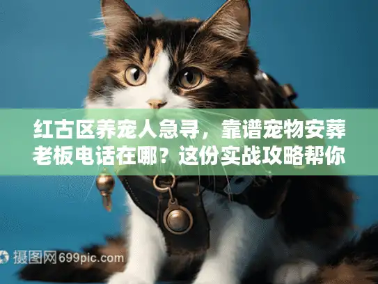 红古区养宠人急寻，靠谱宠物安葬老板电话在哪？这份实战攻略帮你避坑