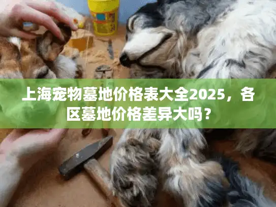 上海宠物墓地价格表大全2025，各区墓地价格差异大吗？