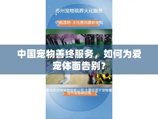 中国宠物善终服务，如何为爱宠体面告别？