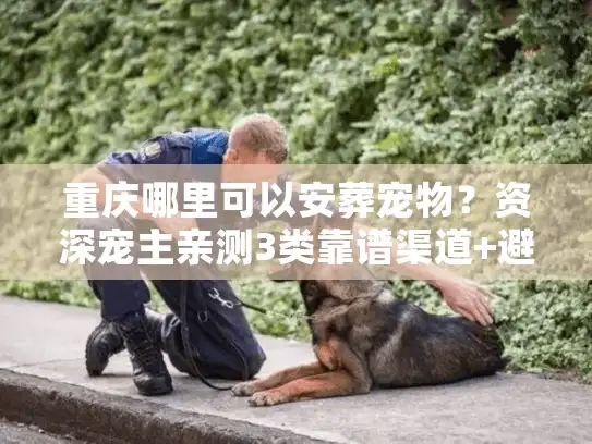 重庆哪里可以安葬宠物？资深宠主亲测3类靠谱渠道+避坑指南