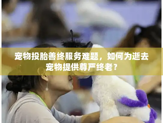 宠物投胎善终服务难题，如何为逝去宠物提供尊严终老？