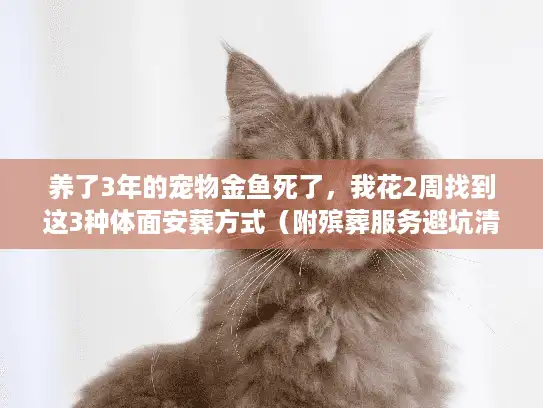 养了3年的宠物金鱼死了，我花2周找到这3种体面安葬方式（附殡葬服务避坑清单）