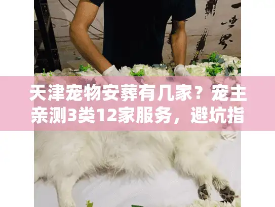 天津宠物安葬有几家？宠主亲测3类12家服务，避坑指南藏在细节里