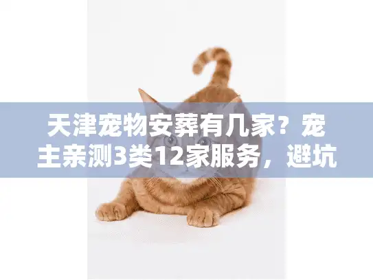 天津宠物安葬有几家？宠主亲测3类12家服务，避坑指南藏在细节里