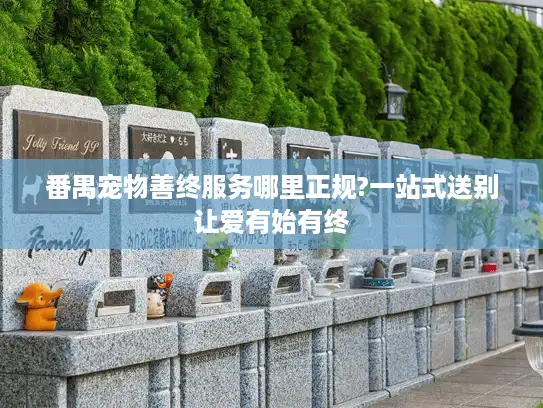 番禺宠物善终服务哪里正规?一站式送别让爱有始有终