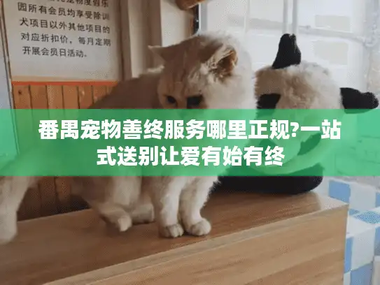 番禺宠物善终服务哪里正规?一站式送别让爱有始有终