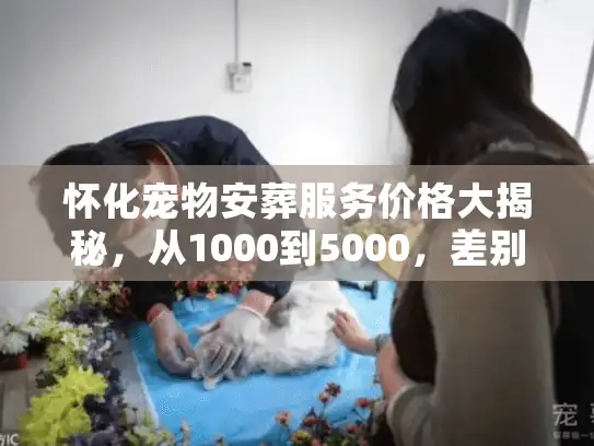 怀化宠物安葬服务价格大揭秘，从1000到5000，差别到底在哪？
