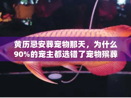 黄历忌安葬宠物那天，为什么90%的宠主都选错了宠物殡葬服务？