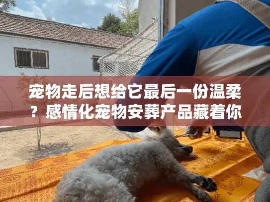 宠物走后想给它最后一份温柔？感情化宠物安葬产品藏着你没发现的告解密码