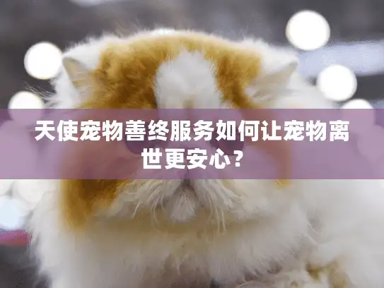 天使宠物善终服务如何让宠物离世更安心？