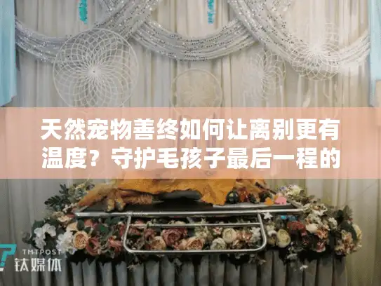 天然宠物善终如何让离别更有温度？守护毛孩子最后一程的温柔选择