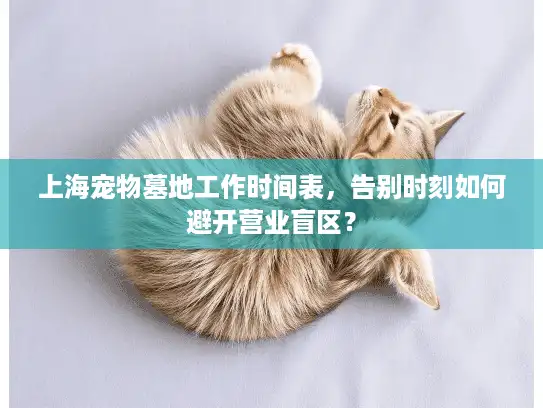 上海宠物墓地工作时间表，告别时刻如何避开营业盲区？