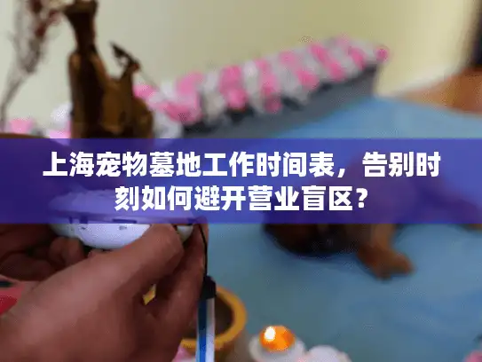 上海宠物墓地工作时间表，告别时刻如何避开营业盲区？