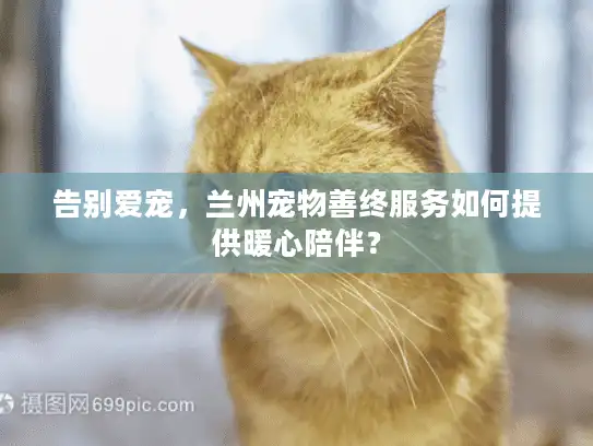 告别爱宠，兰州宠物善终服务如何提供暖心陪伴？