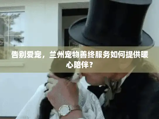 告别爱宠，兰州宠物善终服务如何提供暖心陪伴？