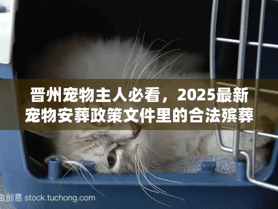 晋州宠物主人必看，2025最新宠物安葬政策文件里的合法殡葬关键信息