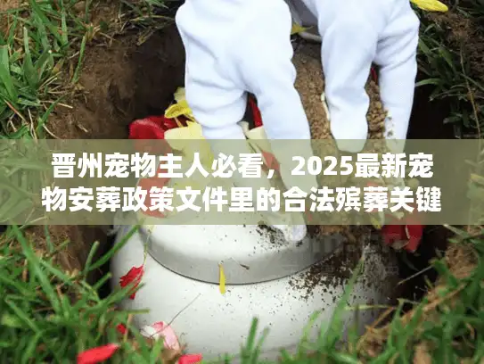 晋州宠物主人必看，2025最新宠物安葬政策文件里的合法殡葬关键信息