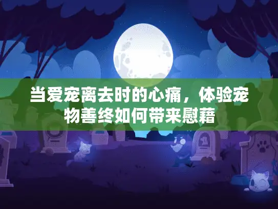 当爱宠离去时的心痛，体验宠物善终如何带来慰藉