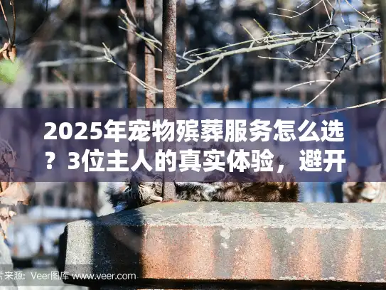 2025年宠物殡葬服务怎么选？3位主人的真实体验，避开这3坑，给毛孩子最后一份体面