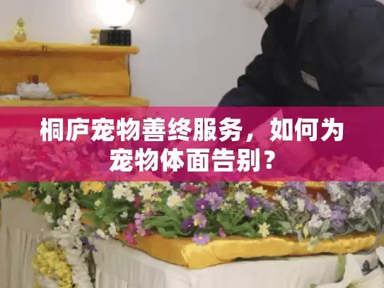 桐庐宠物善终服务，如何为宠物体面告别？