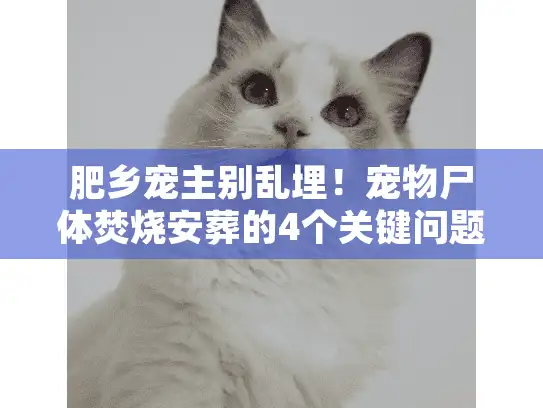 肥乡宠主别乱埋！宠物尸体焚烧安葬的4个关键问题，90%的人都错了