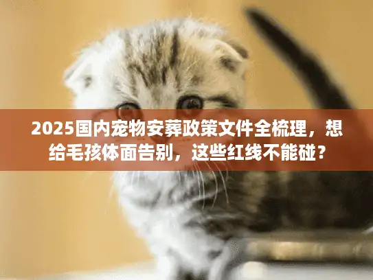 2025国内宠物安葬政策文件全梳理，想给毛孩体面告别，这些红线不能碰？