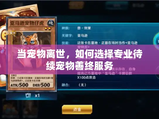 当宠物离世，如何选择专业待续宠物善终服务