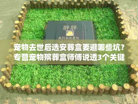 宠物去世后选安葬盒要避哪些坑？专营宠物殡葬盒师傅说透3个关键