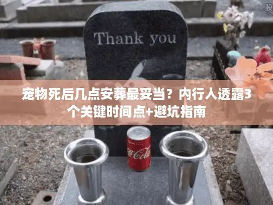 宠物死后几点安葬最妥当？内行人透露3个关键时间点+避坑指南