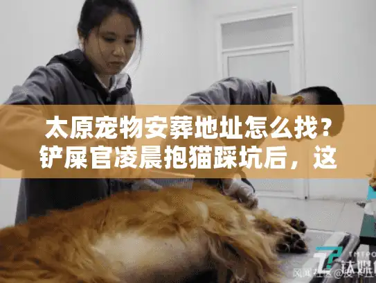 太原宠物安葬地址怎么找？铲屎官凌晨抱猫踩坑后，这篇实战指南救了我