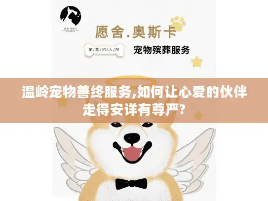 温岭宠物善终服务,如何让心爱的伙伴走得安详有尊严?
