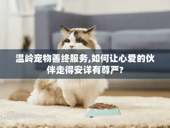 温岭宠物善终服务,如何让心爱的伙伴走得安详有尊严?