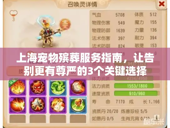 上海宠物殡葬服务指南，让告别更有尊严的3个关键选择