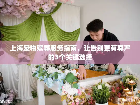 上海宠物殡葬服务指南，让告别更有尊严的3个关键选择