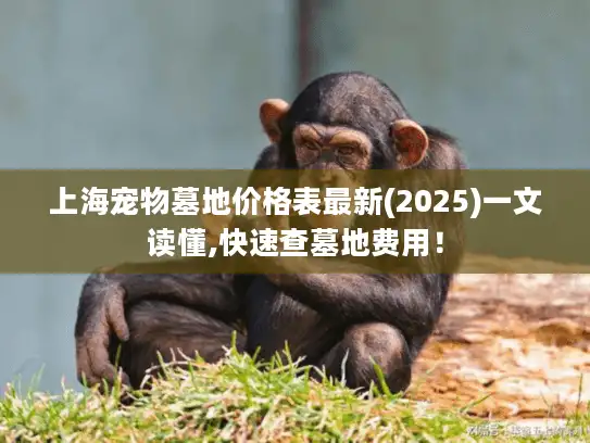 上海宠物墓地价格表最新(2025)一文读懂,快速查墓地费用！