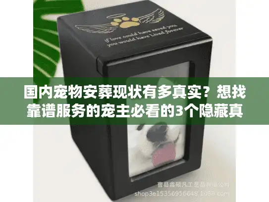 国内宠物安葬现状有多真实？想找靠谱服务的宠主必看的3个隐藏真相