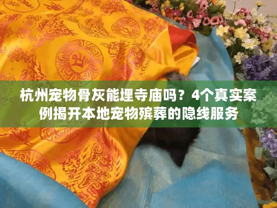 杭州宠物骨灰能埋寺庙吗？4个真实案例揭开本地宠物殡葬的隐线服务