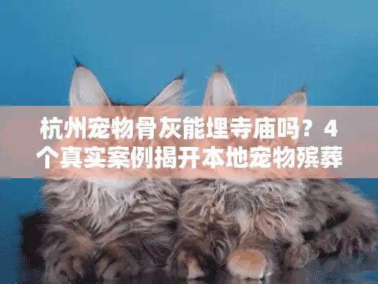 杭州宠物骨灰能埋寺庙吗？4个真实案例揭开本地宠物殡葬的隐线服务